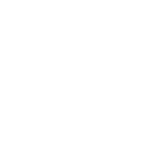 SAS by Sevastianova